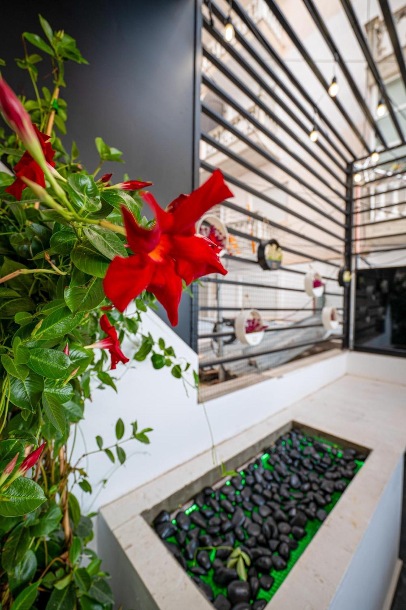 Mato Luxury Apartments Sarandë Buitenkant foto
